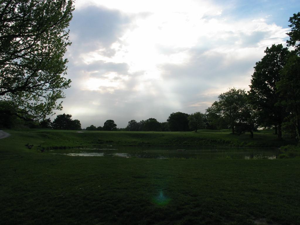 305-0576_IMG.JPG